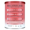 thumbnail image 2 of Suplemento Alimenticio Birdman Creatine Refresher  Watermelon Spl 300gr, 2 of 4