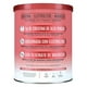 thumbnail image 2 of Suplemento Alimenticio Birdman Creatine Refresher  Watermelon Spl 300gr, 2 of 4