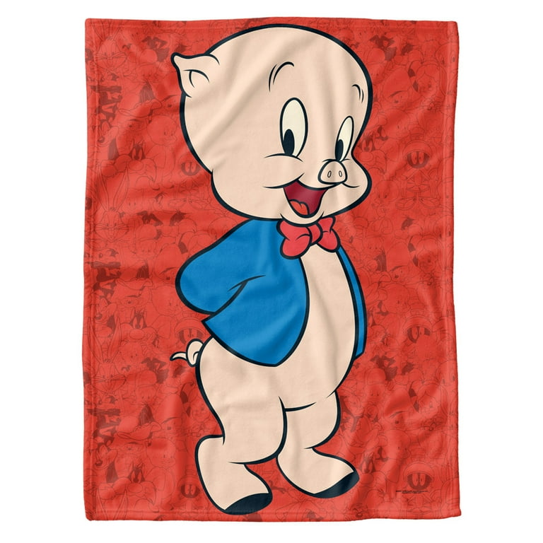 Looney Tunes Soft Fleece Baby Blanket for Infant Toddler All