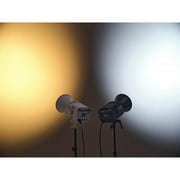 Godox Litemons LE300BI Bi-Color LED Monolight (White)