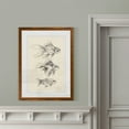 thumbnail image 4 of Wexford Home Goldfish III-Framed Print - Maple - 16X22, 4 of 4