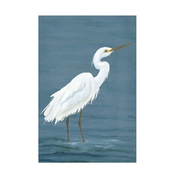 Trademark Fine Art Michael Willett Wading Egret I Canvas Wall Art