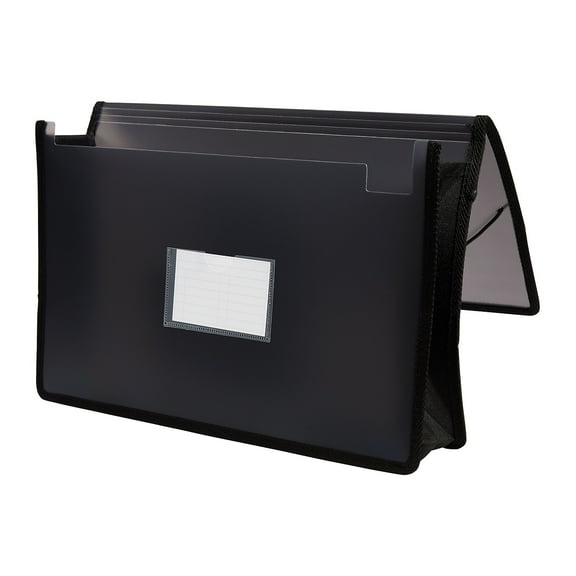 Staples TRU RED Expanding Wallet Elastic Closure Legal Size Black  3/Pack TR10761-CCVS