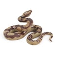 thumbnail image 1 of Serpiente de goma realista de Halloween, juguete de serpiente espeluznante para decoración de fiesta de Halloween, 1 of 6