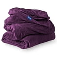 thumbnail image 2 of Bare Home Ultra Soft Microplush Velvet Blanket - Luxurious Fuzzy Fleece Fur - All Season Premium Bed Blanket, Twin Extra Long (Twin/Twin XL, Plum), 2 of 6