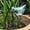White, variant on Automatic Garden Watering Bulbs for Self Watering Systems – Device for Indoor Outdoor Use Easy Auto Irrigation Solution