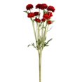 thumbnail image 1 of Vickerman FR190105 27 Po. Rouge Daisy Spray, 1 of 3