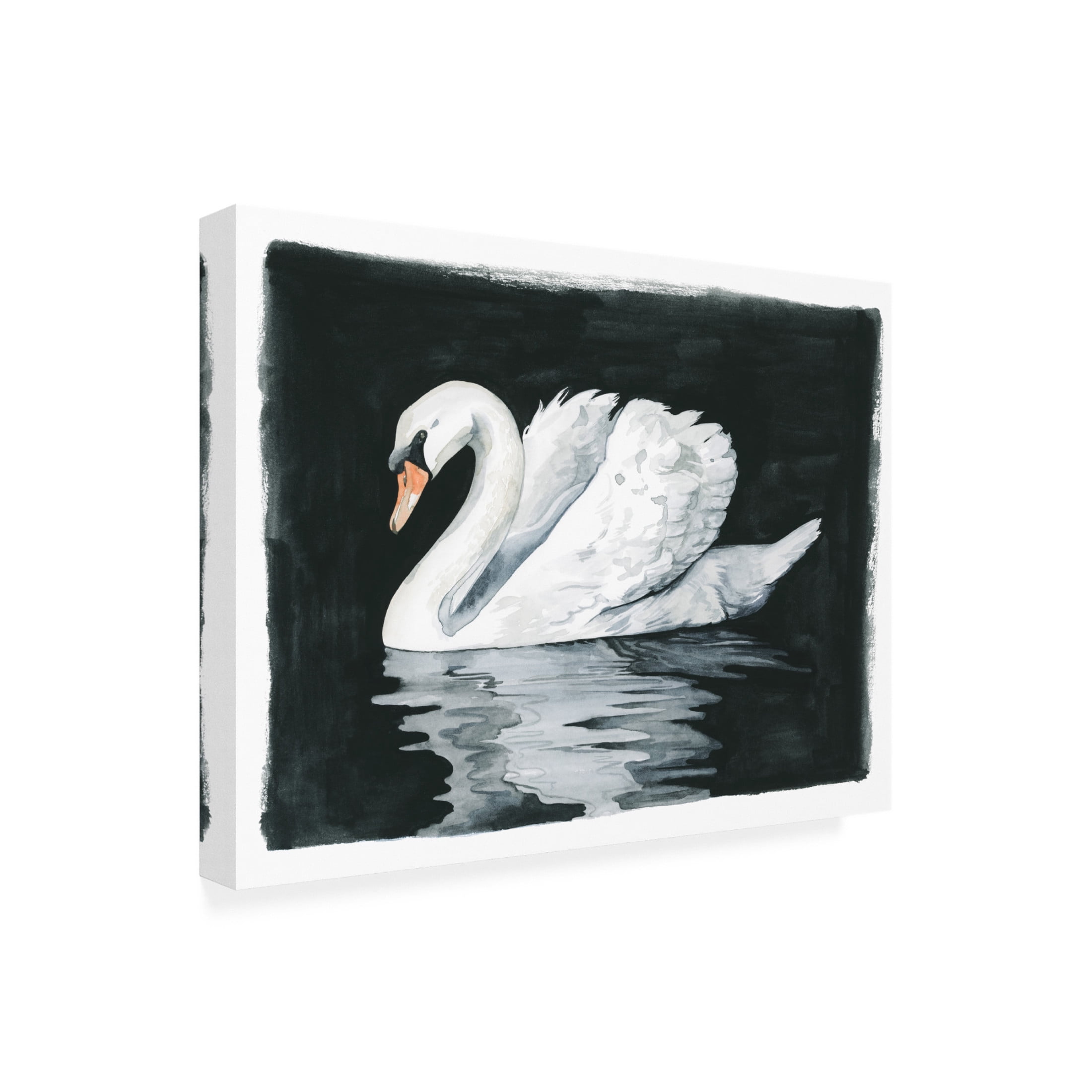Canvas Wall Art - Grace Popp 'Midnight Swim I' Wall Art for Living Room, Bedroom, or Office Décor by Trademark Fine Art - 19 x 14 Inches