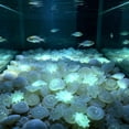 thumbnail image 5 of SouMaox Artificial Starfish Sea Shells Aquarium Decor, Glowing Stones for Fresh Water Saltwater Tank, Luminous Night Light Decor, 0.59" Pink, 5 of 6