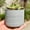 A2574 Usloyux under 5$, variant on Usloyux Under $5 Plant Planter, Small Indoor Plant Pot with Drainage, Modern Decorative Flower Container for Desk Decor, Home Gardening Accessory for Cactus Herbs Mini Plants
