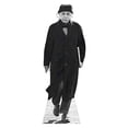 thumbnail image 3 of Star Cutouts SC174 Albert Einstein Cardboard Cutout Standup, 3 of 3