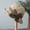 Beige, variant on CHENge Stylish Ladies Summer Fisherman Hat for Outdoor Leisure and Complete Sun
