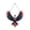 C, variant on American Eagle Acrylic Wall Decor, Transparent Art Hanging Ornament, Patriotic Style Wall Sculpture, Polished Decorative Craft for Living Room, Porch And Indoor Wall Space