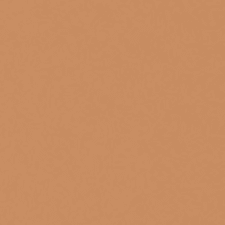 BEIGE الحقيقي