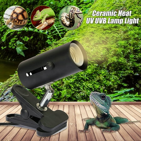 300W Ceramic Heat UV UVB CERAMIC LAMP HOLDER Lamp Light Holder For Chicken Brooder Reptile (Best Heat Lamp For Leopard Gecko)