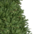 thumbnail image 3 of Northlight 9' Pre-Lit Rockwood Pine Artificial Christmas Tree, Multi Lights, 3 of 6