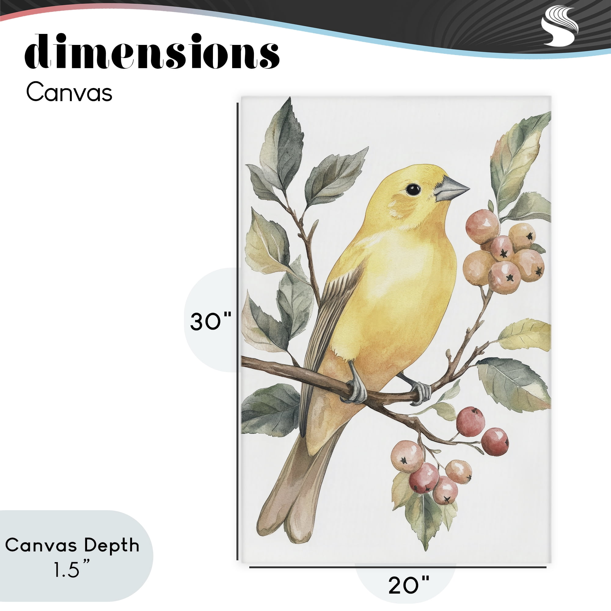 Stupell Industries Sun Lit Bird on Branch Canvas Wall Art, design by Petal Prints Design