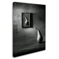 thumbnail image 2 of Trademark Fine Art 'The Pear Of Dorian Gray' Canvas Art by Victoria Ivanova, 2 of 3