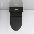 thumbnail image 3 of TICOZE Water-Saving Matte Black One-Piece Toilet with High-Efficiency Dual Flush 1.1/1.6 GPF, Elongated Comfort Design, Soft-Close Seat and Easy-Clean Skirted Trapway, 3 of 11
