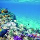 thumbnail image 3 of Fondo de imagen con adhesivo único de impresión 3D para acuario de pecera de 76x56cm Sunnimix Pegatina de fondo del tanque de peces, 3 of 8
