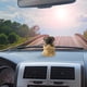 thumbnail image 2 of Yoga Puppy Gadget Interesting And Cute Car Home Decoration Decoration Decoration, 2 of 4