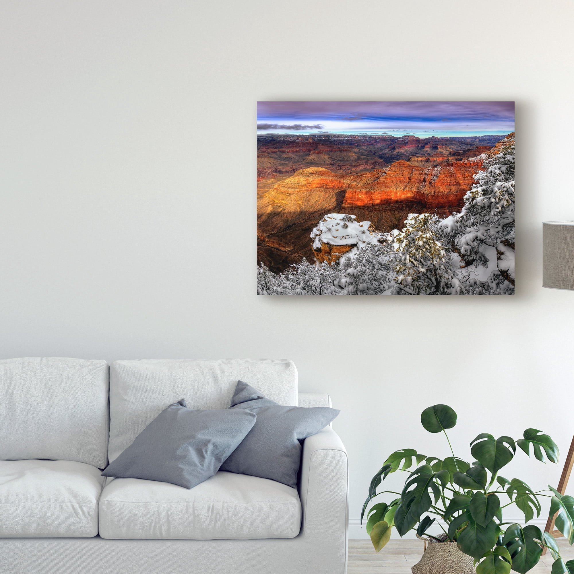 Trademark Fine Art 'Snowy Grand Canyon IV' Canvas Art by David Drost