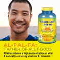 thumbnail image 2 of Nature's Life Alfalfa Leaf Tablets 1000mg | Vitamin Rich Green Superfood | Non-Gmo | 500 Count, 2 of 5