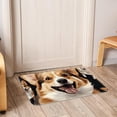 thumbnail image 6 of Corgi Dog Non-Slip Polyester Kitchen Mat Indoor Rug Area Rugs Machine Washable Indoor Mat, 6 of 6