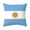 Argentina, variant on BBilaBu South Korea Flag Throw Pillow Covers,Sports Fans Decorative,for Car Bar Home Sofa Bedroom Decoration(17.71x17.71Inch)