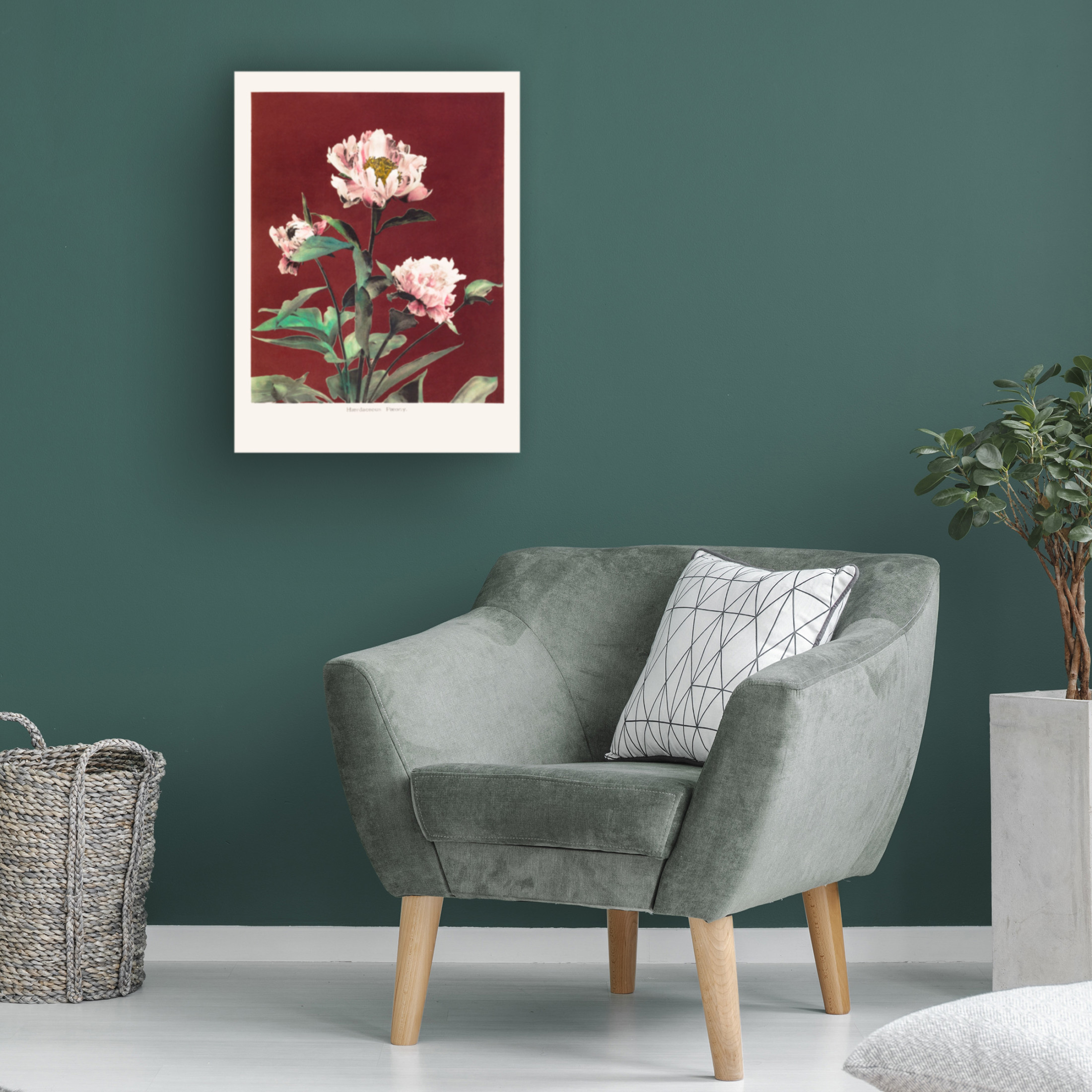 Trademark Fine Art Pictufy  HAbrdaceous Peony no2 Canvas Wall Art