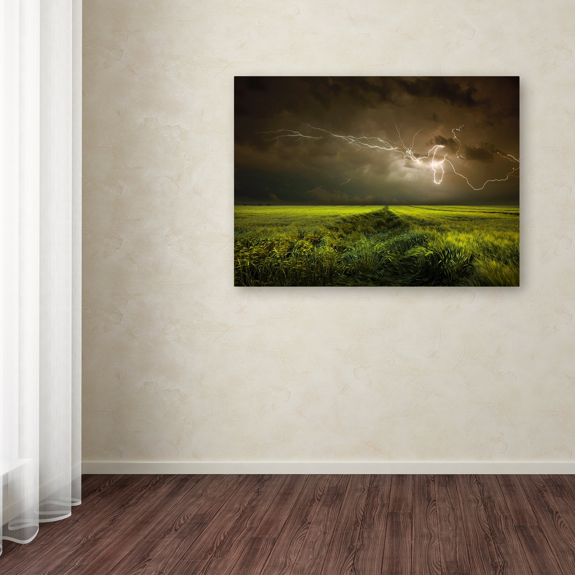 Trademark Fine Art 'Electrically In Summer' Canvas Art by Franz Schumacher