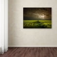 thumbnail image 3 of Trademark Fine Art 'Electrically In Summer' Canvas Art by Franz Schumacher, 3 of 3