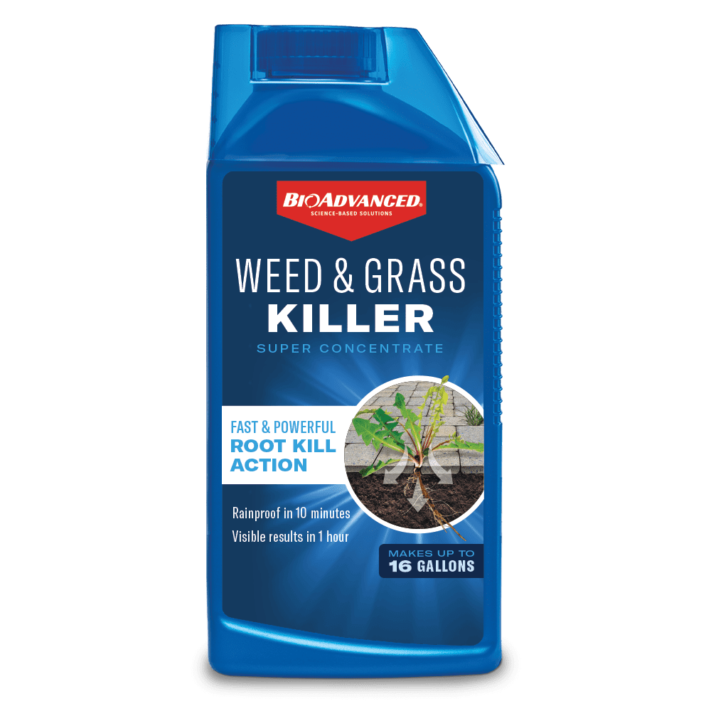 Bioadvanced Weed And Grass Killer Herbicide 32 Floz Concentrate