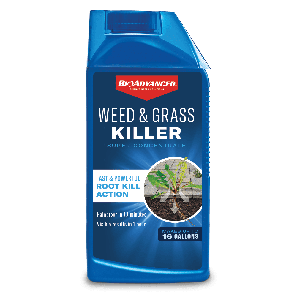 BioAdvanced Weed & Grass Killer, Herbicide, 32 floz, Concentrate