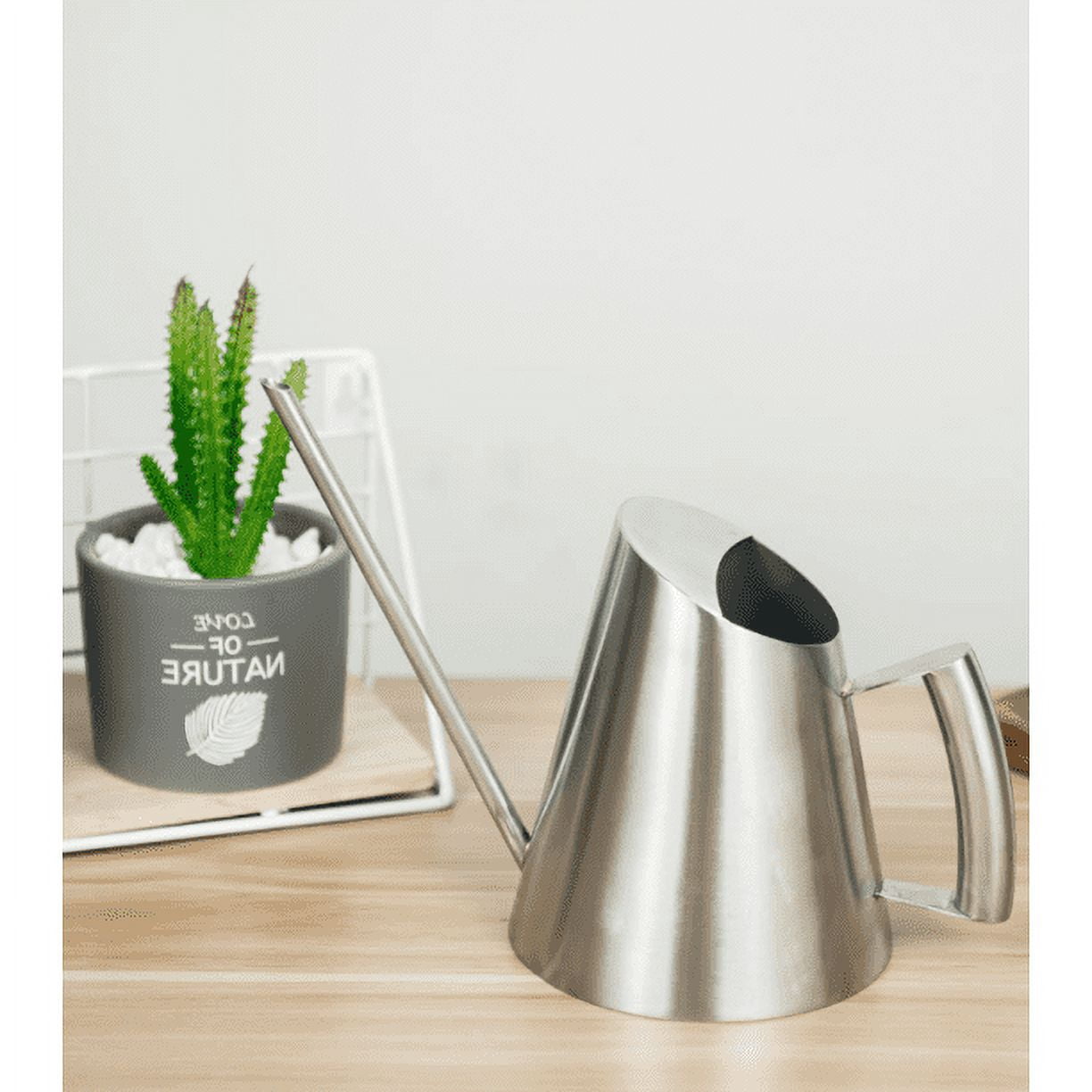FZFLZDH Watering Can SUS304 Stainless Steel Indoor House Plants Long Spout,Small Stainless Steel Plant Watering Can， 30oz / 900ml