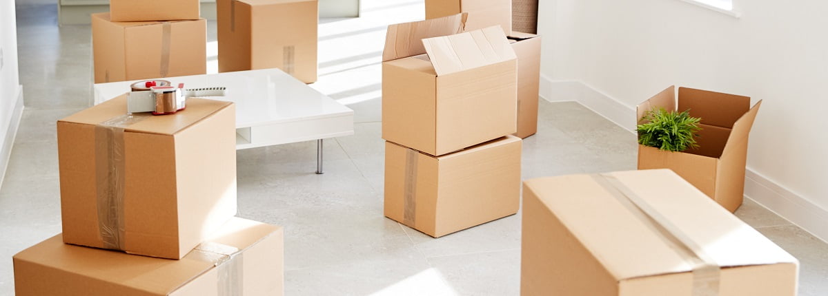 BOX USA 40x30x30 Corrugated Boxes, Large, 40L X 30W X 30H, Pack Of 10 | Shipping, Packaging, Moving, Storage Box For Home Or Business, Strong Wholesale Bulk Boxes Visit The BOX USA Store 5.0 5.0 Out Of 5 Stars 4 Ratings