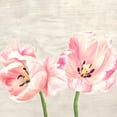 thumbnail image 2 of Jenny, Thomlinson 12x12 Gold Ornate Wood Framed with Double Matting Museum Art Print Titled - Classic Tulips II, 2 of 4