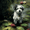 Dog Water Lily Pond, variant on Guardian Angel Embracing Jacob Canvas Print, Religious Art for Living Room Bedroom Study Hallway Office Home Decor