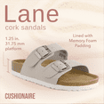 thumbnail image 2 of Cushionaire Lane Cork Footbed Sandals for Women – Comfortable Double Buckle Slip-On with Genuine Suede Footbed & Arch Support Slides for Women Footwear, 2 of 12