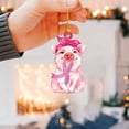 thumbnail image 5 of Home Improvement, 1pc Pinkseries Acrylic Cute Animals Ribbons Ornament Pinkseries Hanging Decorations Pendant Decorations Crafts Hanging Decorations, Hangs, 5 of 5