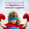 thumbnail image 5 of Digestive Advantage KIDS Prebiotic Fiber Plus Probiotic Gummies 6 65 Each - (Pack of 2), 5 of 11