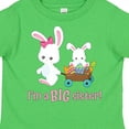 thumbnail image 4 of Inktastic I'm a Big Sister Girls Toddler T-Shirt, 4 of 5