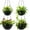 Black, variant on Hanging Planters for Indoor Outdoor Plants 8 and 10 Inch, ​4 Packs Plant Hanger with Drainage Holes, Hanging Basket Flower Pot Perfect for Home, Office and Garden, Black