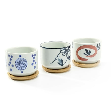 3 Dollar Flower - Small Flower Pots, Assorted Mini 3 Inch Ceramic Succulent Planter Pots with Bamboo Saucers, Set of 3