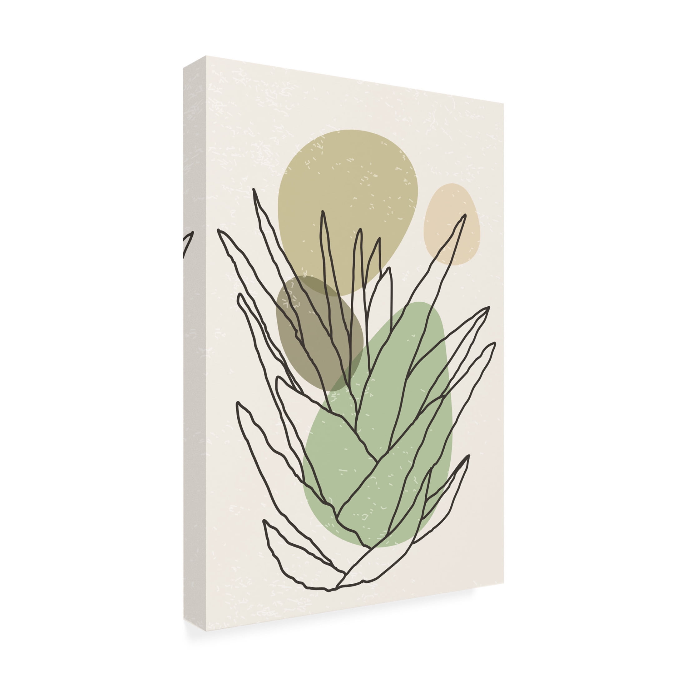Trademark Fine Art jay stanley Color Abstract Agave 2 Canvas Wall Art