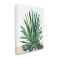thumbnail image 3 of Stupell Aloe Plant Botanical Leaves Botanical & Floral Painting Gallery Wrapped Canvas Print Wall Art, 3 of 5