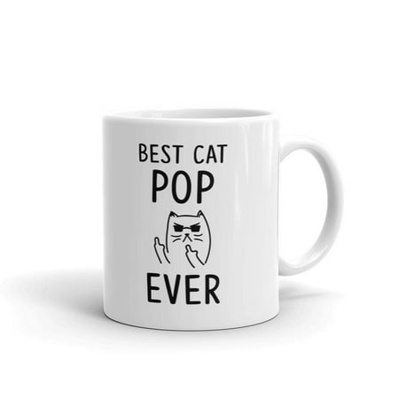 Best Cat Pop Ever Rude Funny Coffee Tea Ceramic Mug Office Work Cup