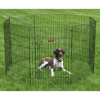 Pet Pals ZW179 42 ProSelect Empire Cage Lrg S 