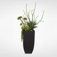 thumbnail image 3 of Botanical Succulent Variety in a Tall Black Modern Metal Planter - Green, 3 of 5