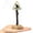 White, variant on Simulation Tree Signage, Small Aquarium Landscaping Accessories, Artificial Coral Decoration, Resin Desktop Ornament 2.3*5.9In